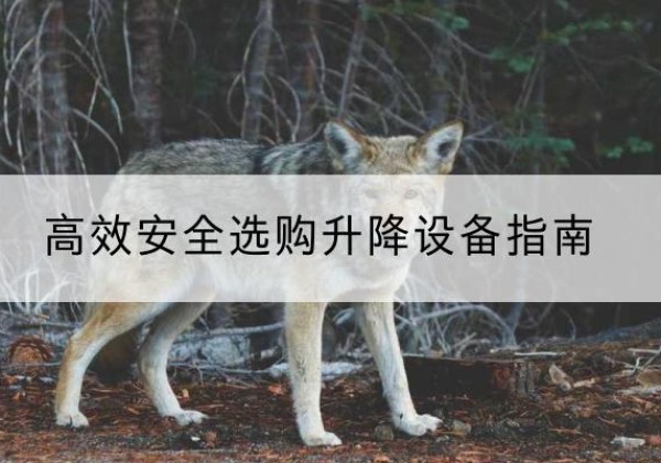 余杭升降货梯厂家推荐-*安全选购升降设备指南