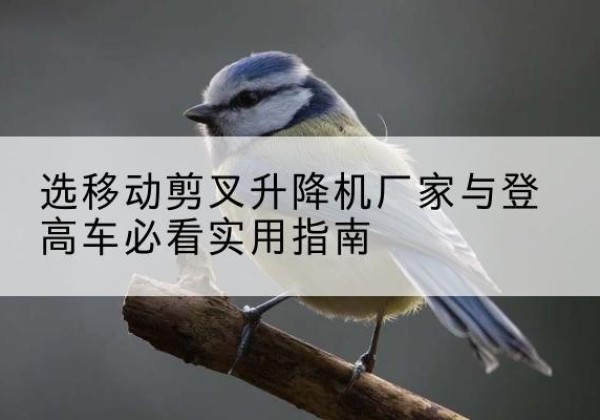 余杭电动升降机厂家-选移动剪叉升降机厂家与登高车必看实用指南