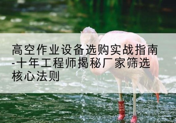 余杭剪叉式升降机厂家-高空作业设备选购实战指南-十年工程师揭秘厂家筛选核心法则